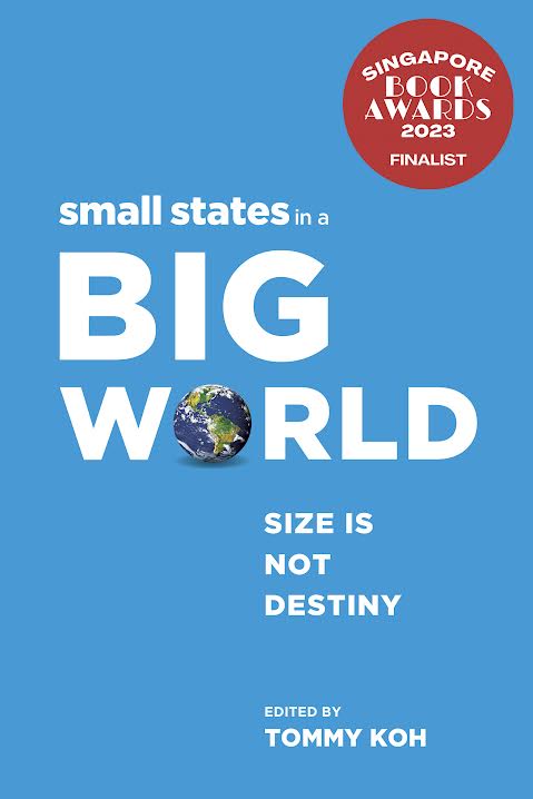 Small States In A Big World: Size Is Not Destiny